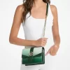 Greenwich Small Ombré Signature Logo Crossbody Bag